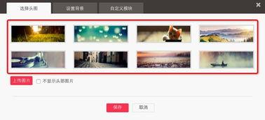中国毛片基地在线视频,在线视频背后的真相与反思